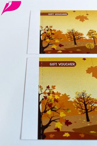 Gift Voucher 0079